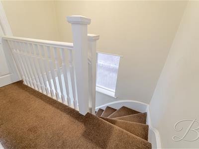 Picture 29
